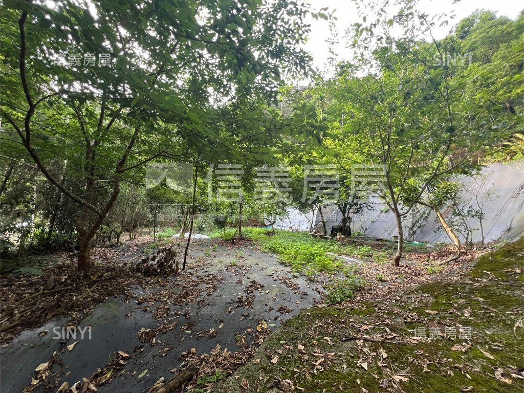 埔里快樂田園小天堂房屋室內格局與周邊環境