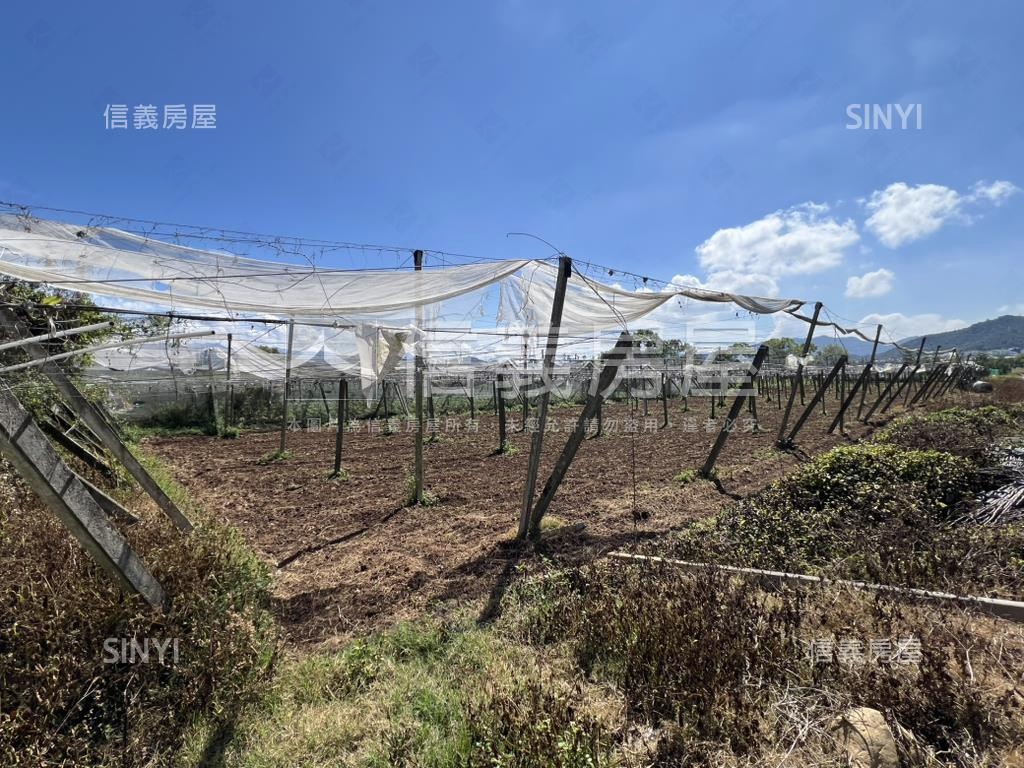 首選新社農地房屋室內格局與周邊環境