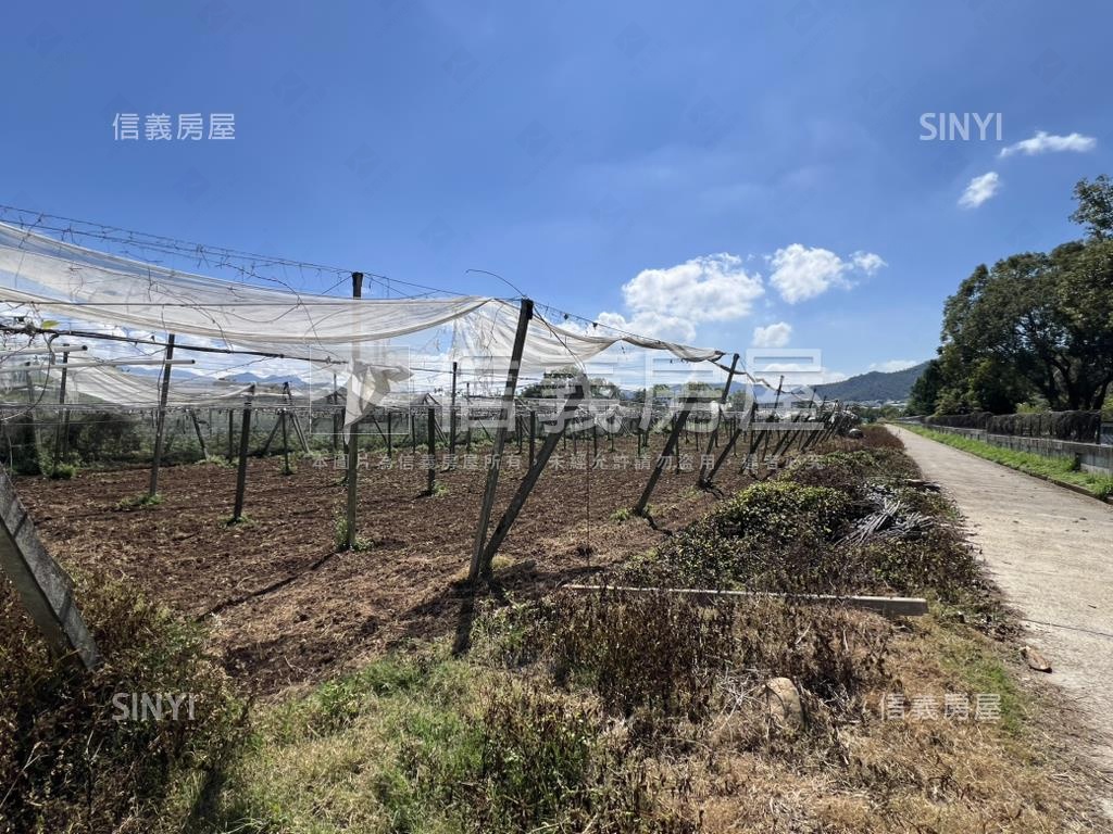 首選新社農地房屋室內格局與周邊環境