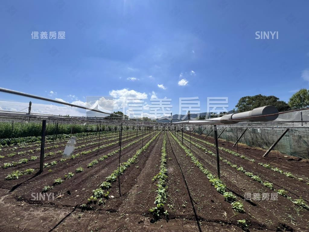 首選新社農地房屋室內格局與周邊環境