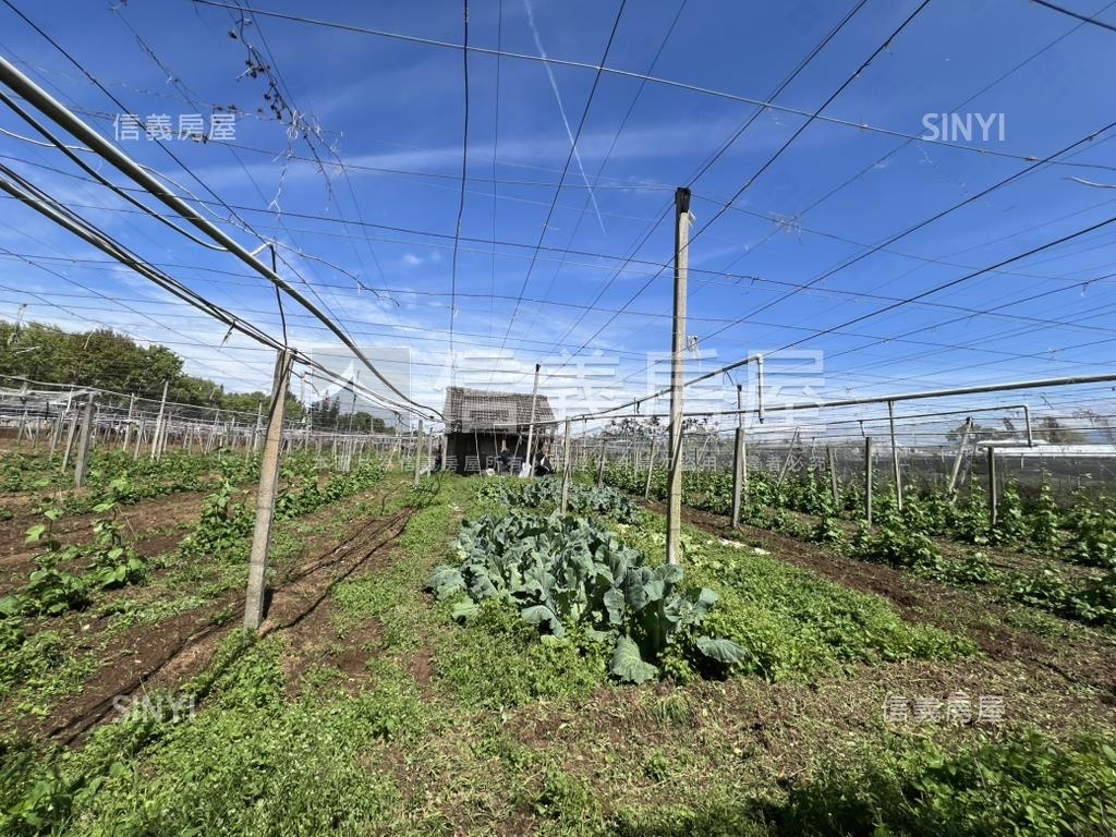 首選新社農地房屋室內格局與周邊環境