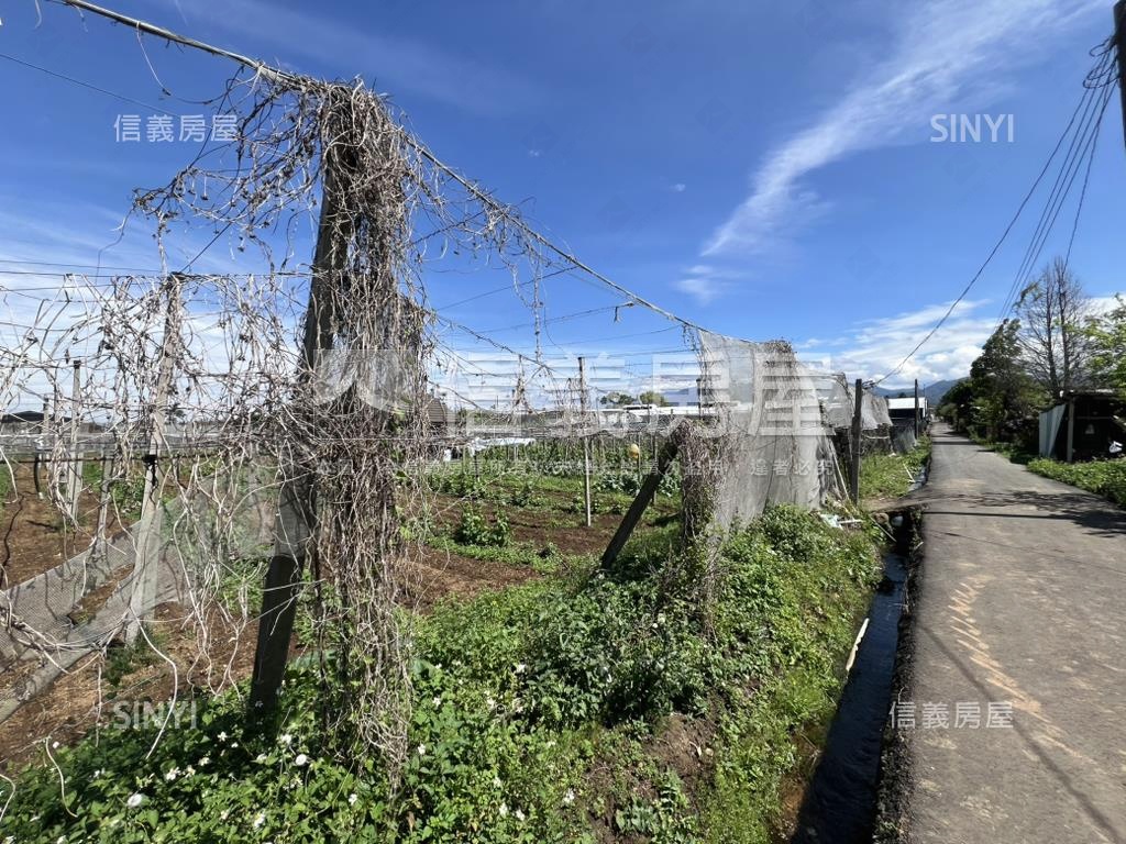 首選新社農地房屋室內格局與周邊環境