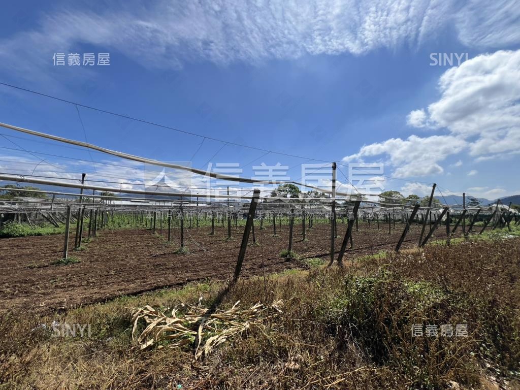 首選新社農地房屋室內格局與周邊環境
