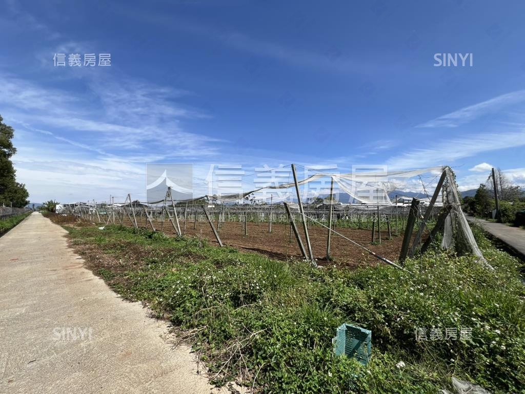 首選新社農地房屋室內格局與周邊環境