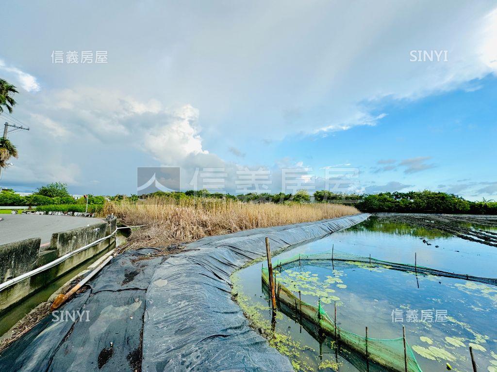 水上鄉老爺花園城堡旁農地房屋室內格局與周邊環境