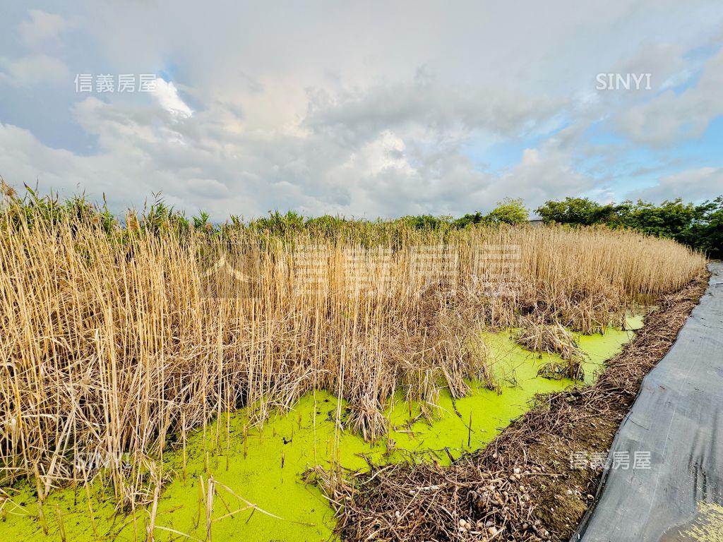 水上鄉老爺花園城堡旁農地房屋室內格局與周邊環境