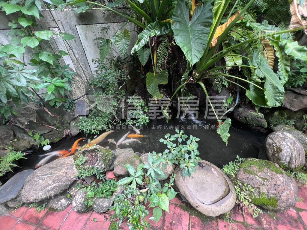 水池裡面錦鯉魚庭院一樓戶房屋室內格局與周邊環境