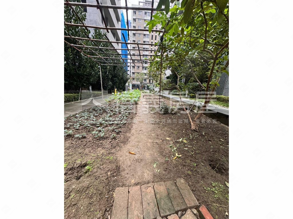 頭前重劃區多元土地房屋室內格局與周邊環境