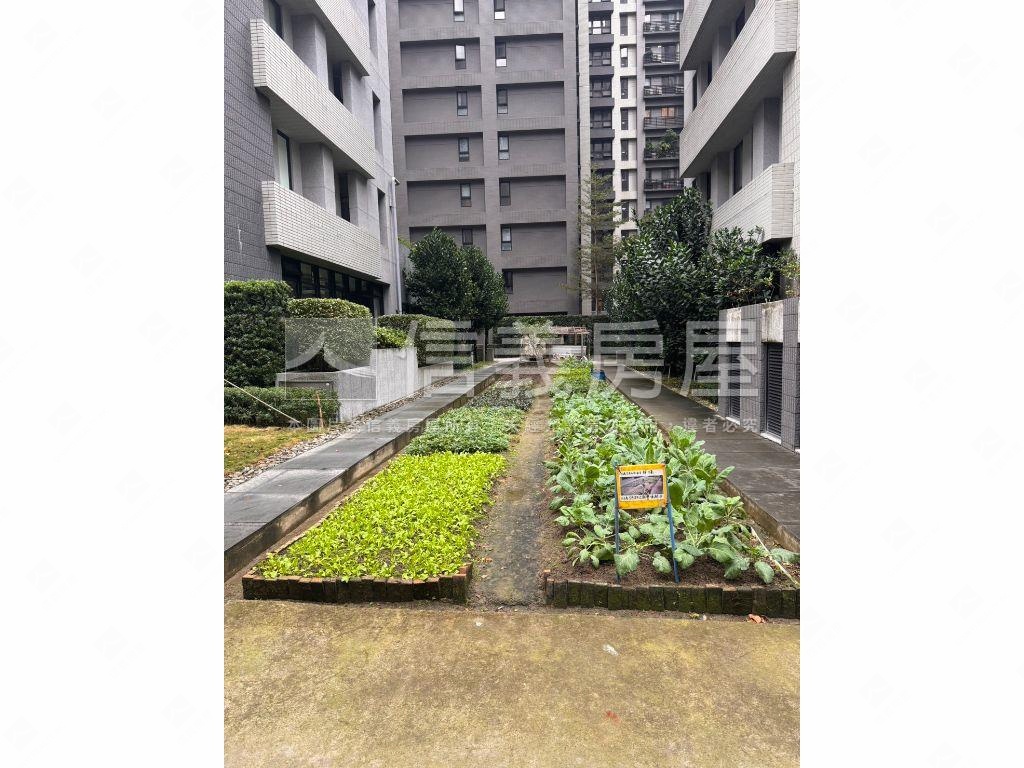 頭前重劃區多元土地房屋室內格局與周邊環境