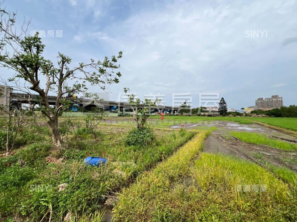 桃園國際段農地稀有釋售房屋室內格局與周邊環境