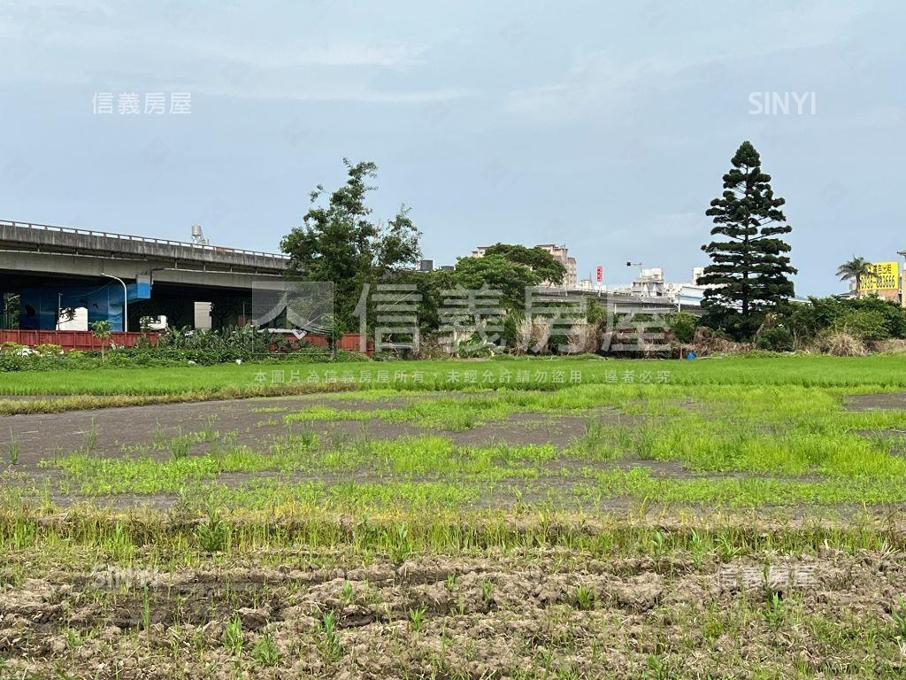 桃園國際段農地稀有釋售房屋室內格局與周邊環境