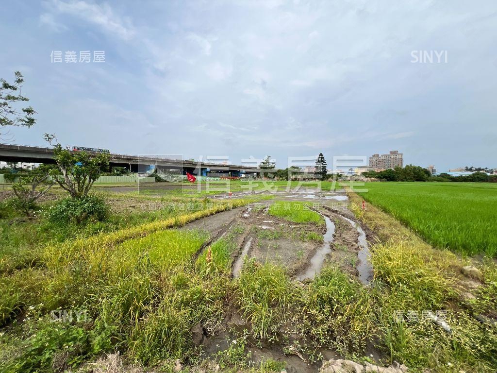 桃園國際段農地稀有釋售房屋室內格局與周邊環境