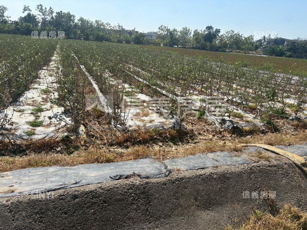 台南白河玉豐千坪土地房屋室內格局與周邊環境