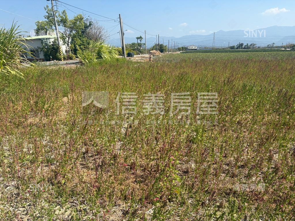 台南白河玉豐千坪土地房屋室內格局與周邊環境