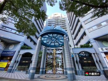 可看仁愛林蔭帝景天廈名邸