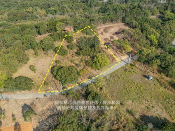 近青青草原土地１