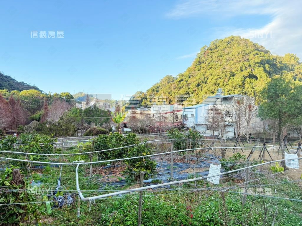 新社開心農場鳥語花香房屋室內格局與周邊環境