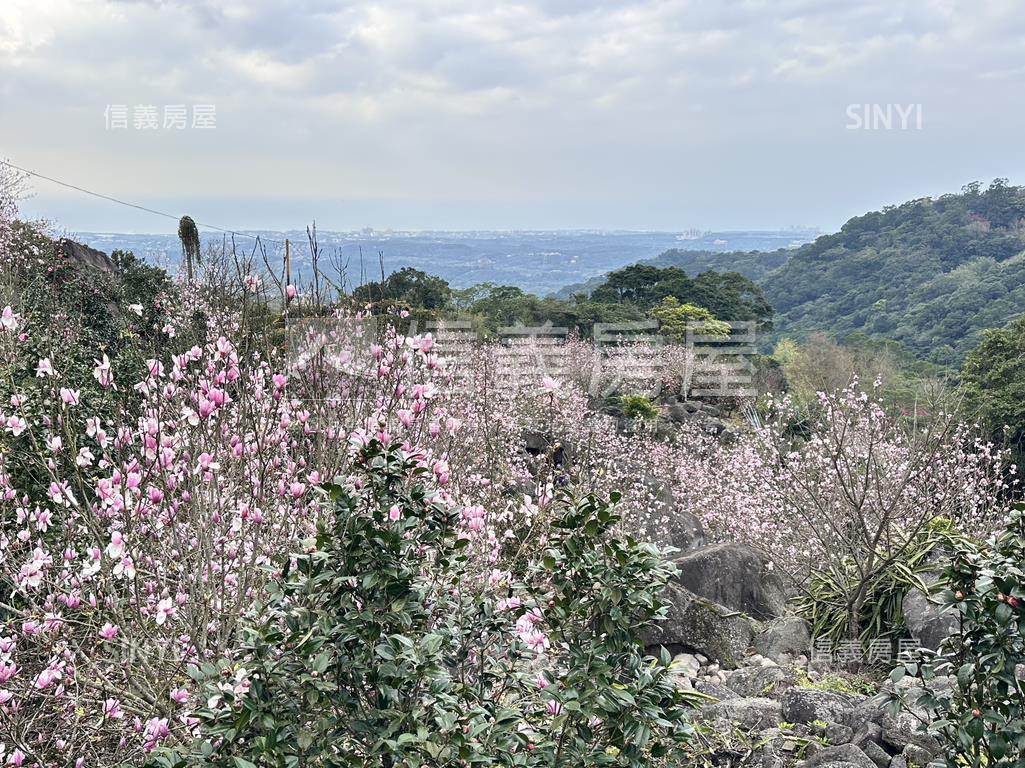 楓樹湖度假別墅房屋室內格局與周邊環境