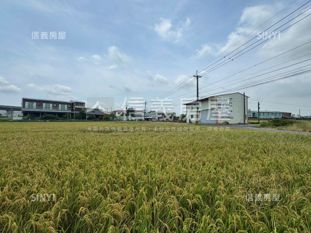 帥方正農地稀有釋出面積大房屋室內格局與周邊環境