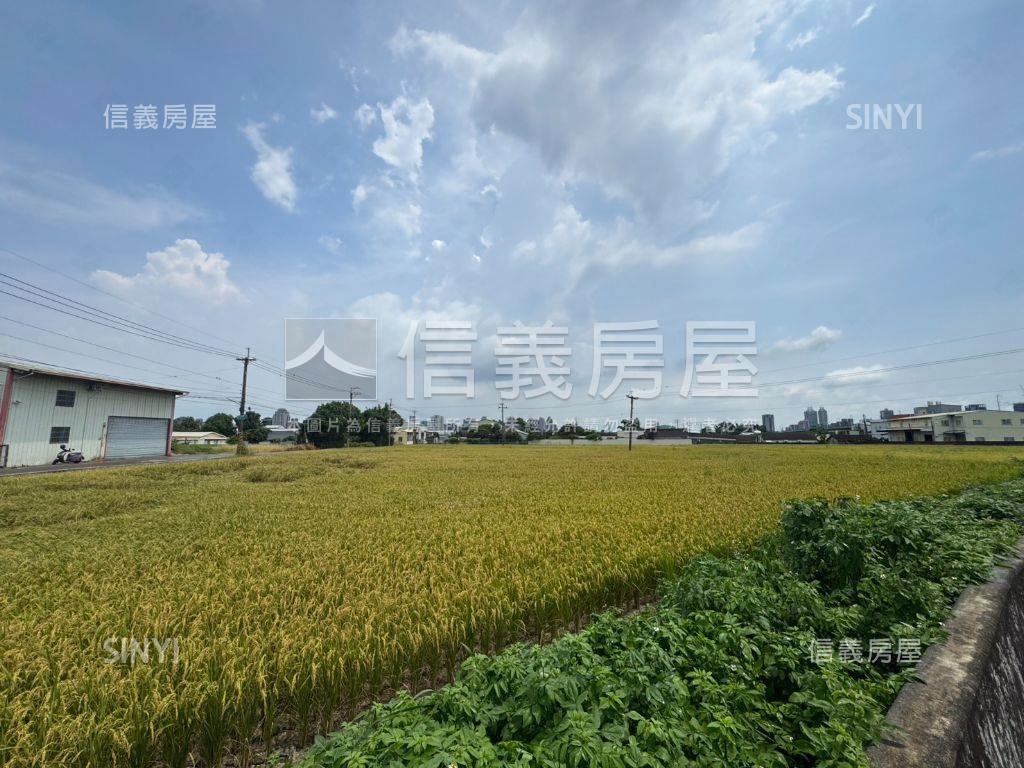 帥方正農地稀有釋出面積大房屋室內格局與周邊環境