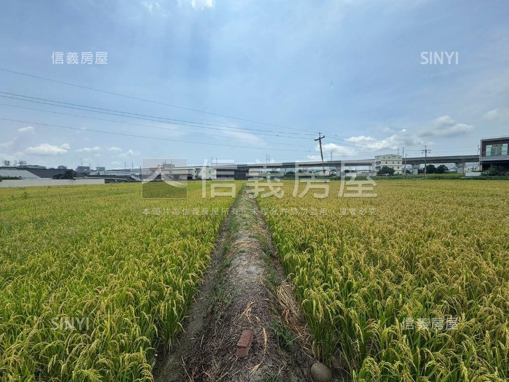 帥方正農地稀有釋出面積大房屋室內格局與周邊環境