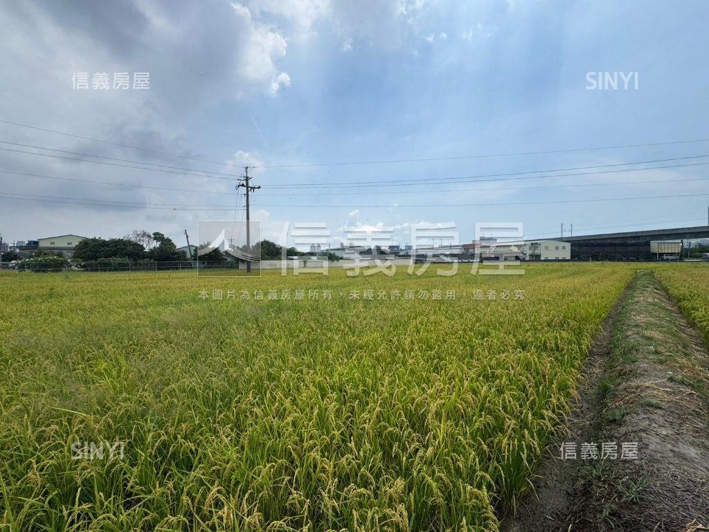帥方正農地稀有釋出面積大房屋室內格局與周邊環境