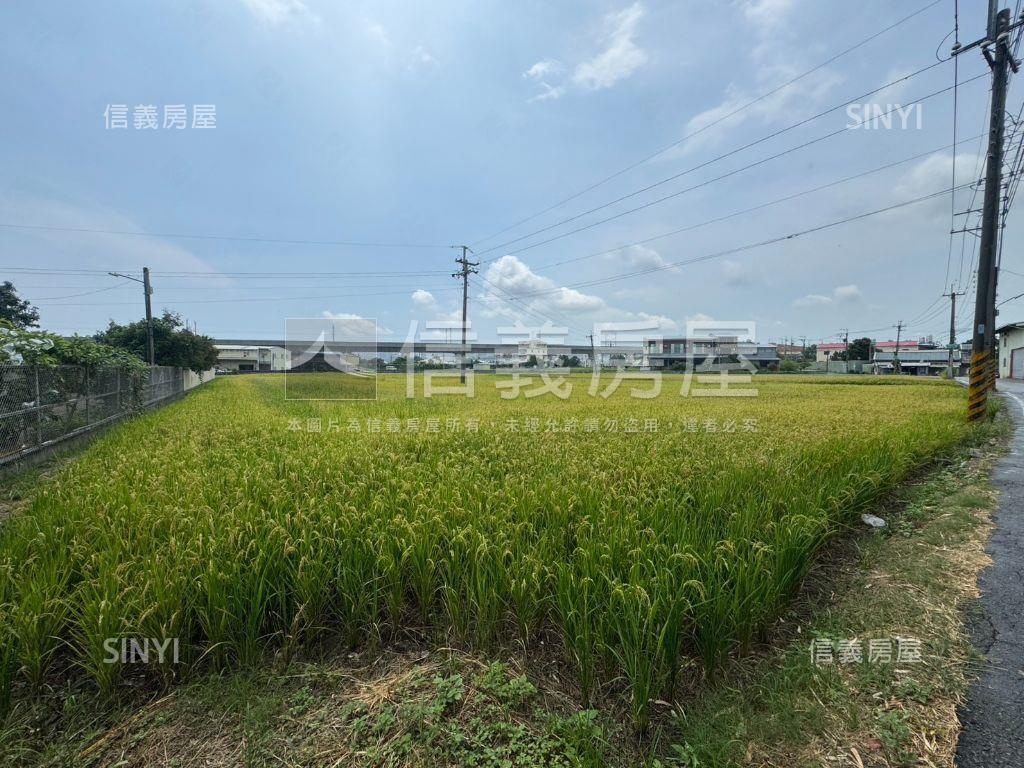 帥方正農地稀有釋出面積大房屋室內格局與周邊環境