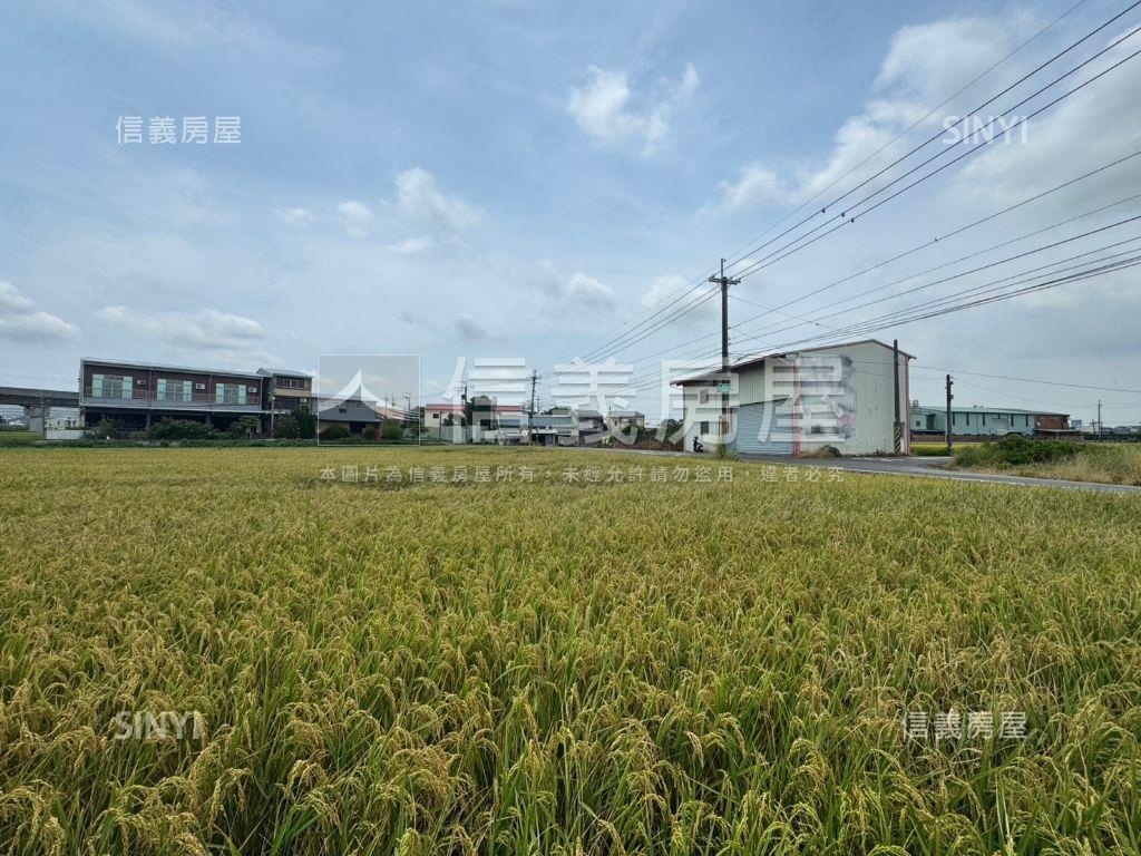 帥方正農地稀有釋出面積大房屋室內格局與周邊環境