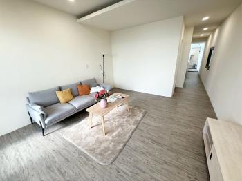 豐原樂天街精裝潢透天