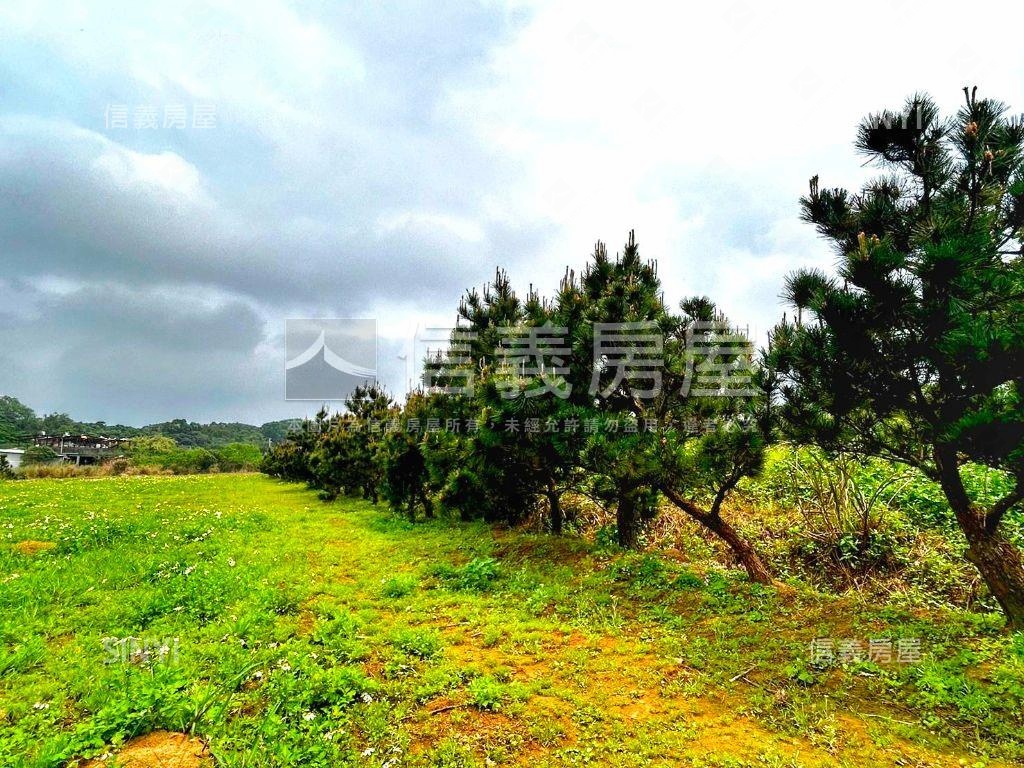 三芝愜意恬靜土地房屋室內格局與周邊環境