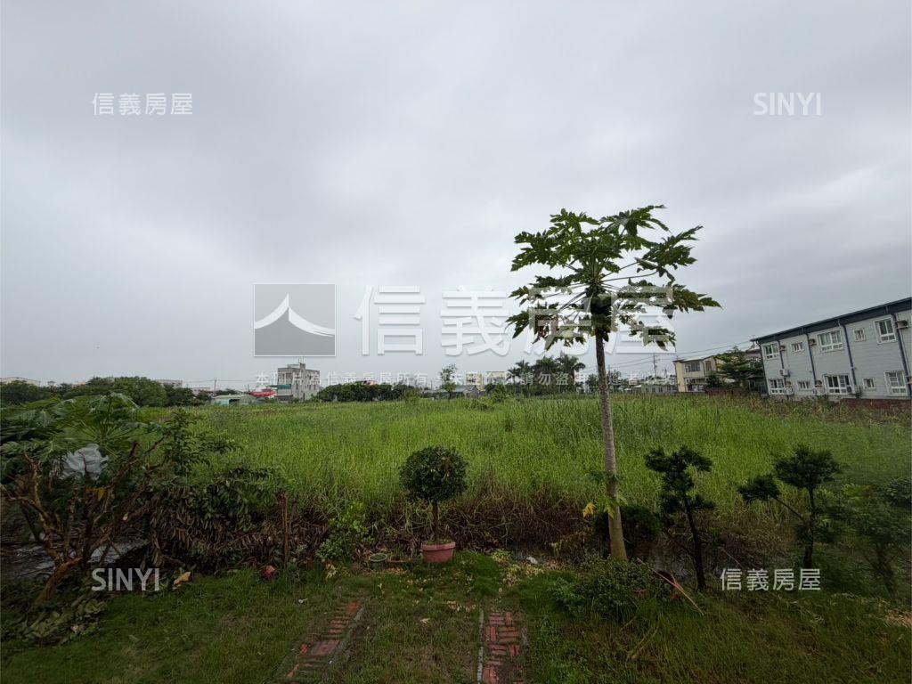 學甲興太段土地房屋室內格局與周邊環境