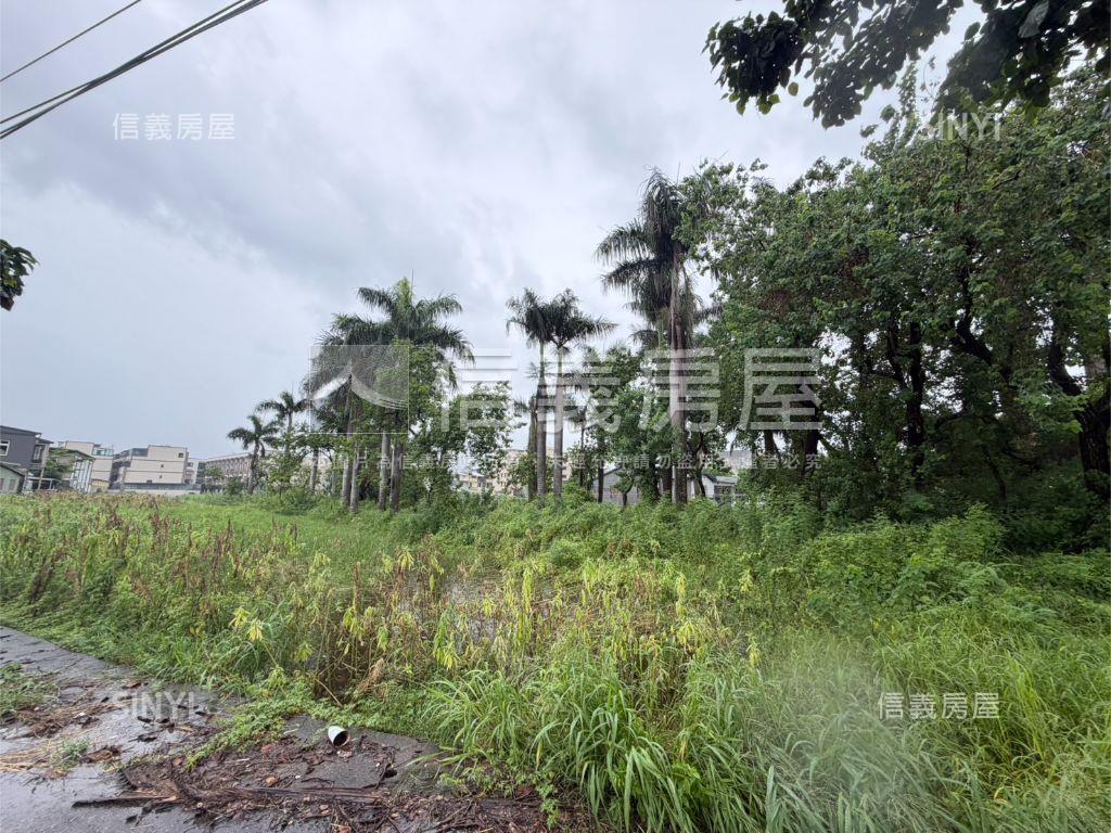 學甲興太段土地房屋室內格局與周邊環境