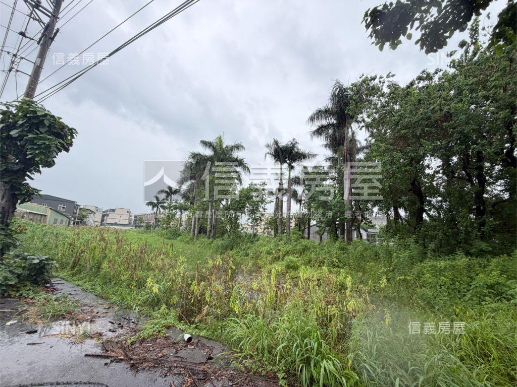 學甲興太段土地房屋室內格局與周邊環境