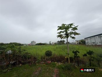 學甲興太段土地
