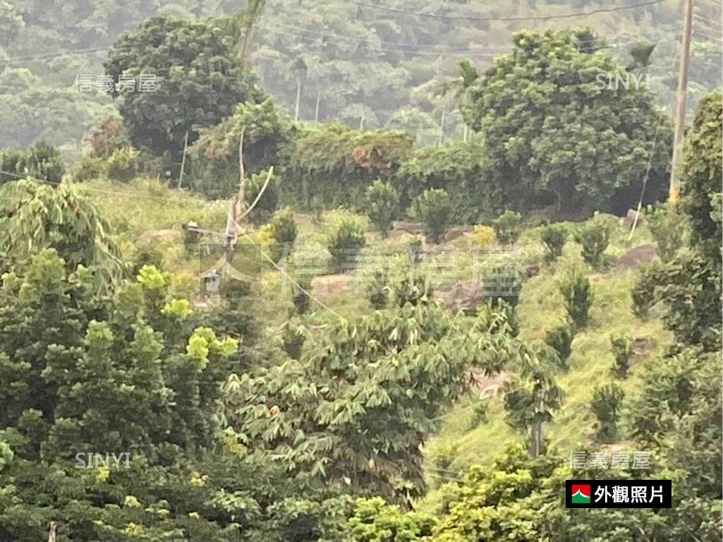 白河六重溪土地龍探吉房屋室內格局與周邊環境