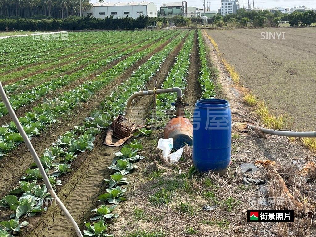 台南新市區南科都內農地房屋室內格局與周邊環境