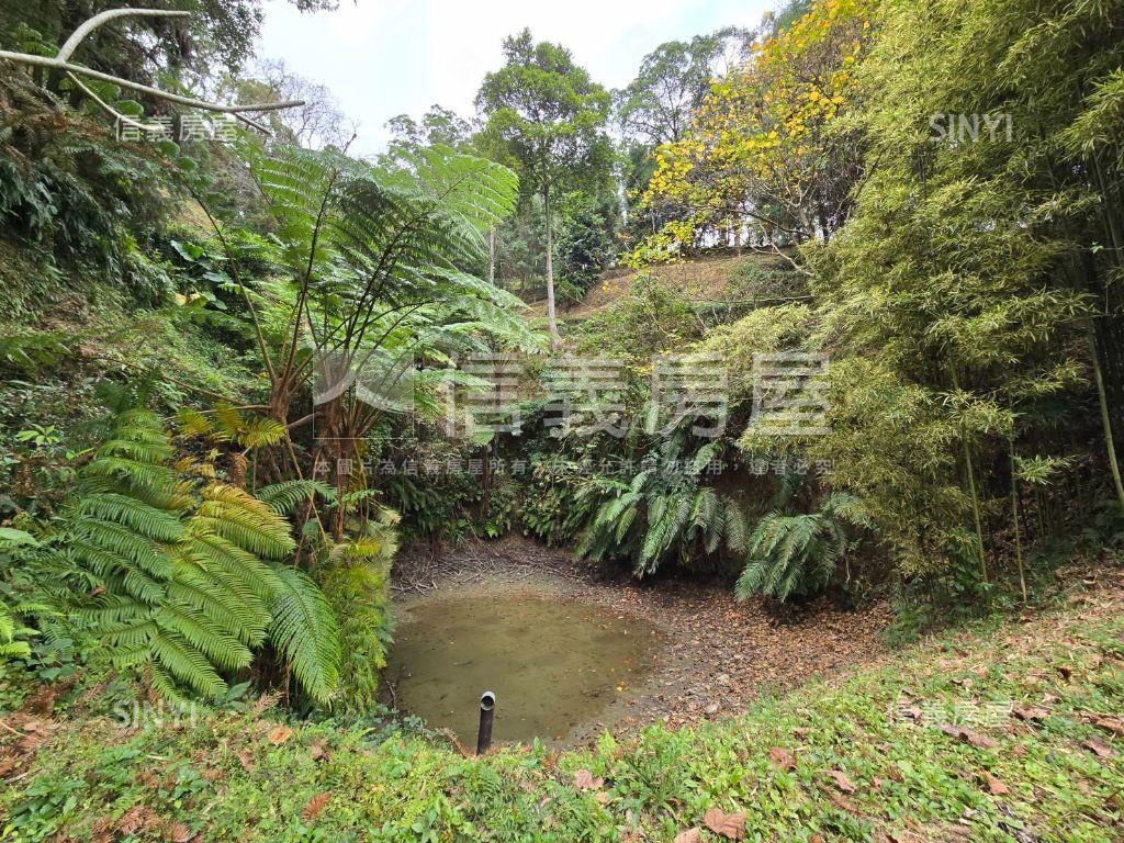 新竹北埔千坪大土地美莊園房屋室內格局與周邊環境