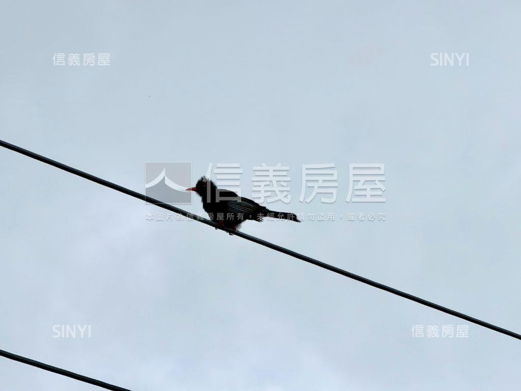 屏東高樹約２７０坪面寬地房屋室內格局與周邊環境