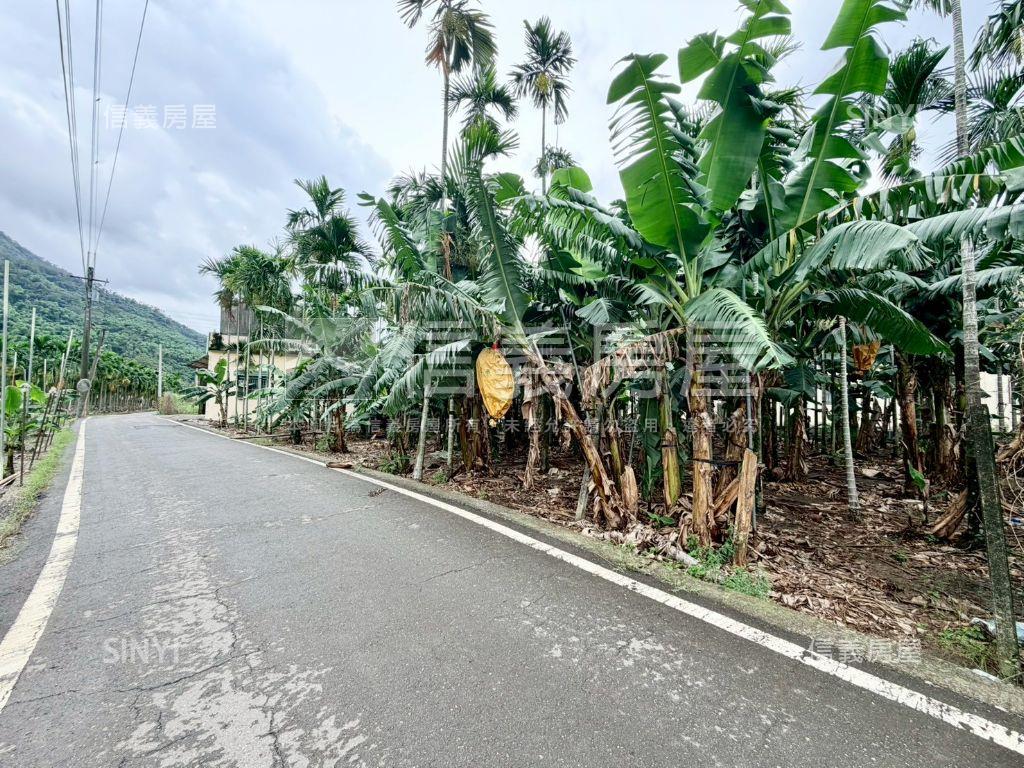 屏東高樹約２７０坪面寬地房屋室內格局與周邊環境