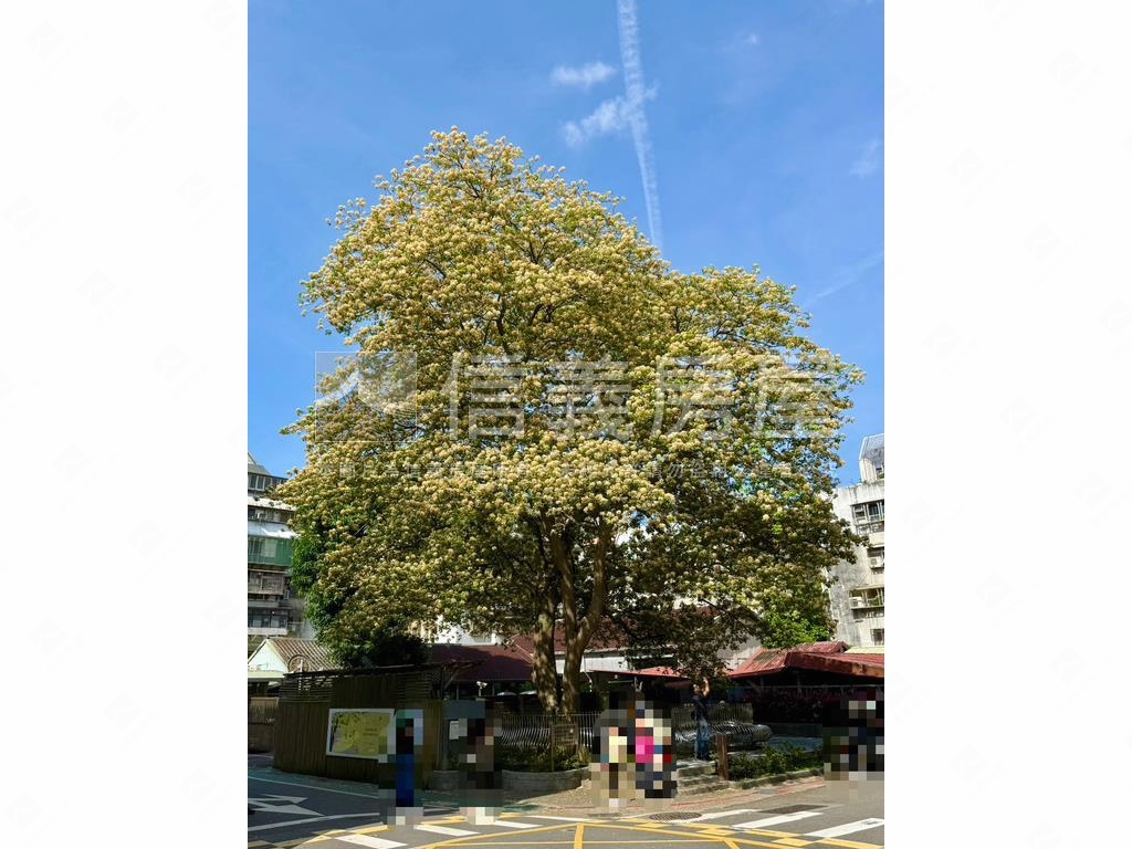 台電大樓稀有美辦住房屋室內格局與周邊環境
