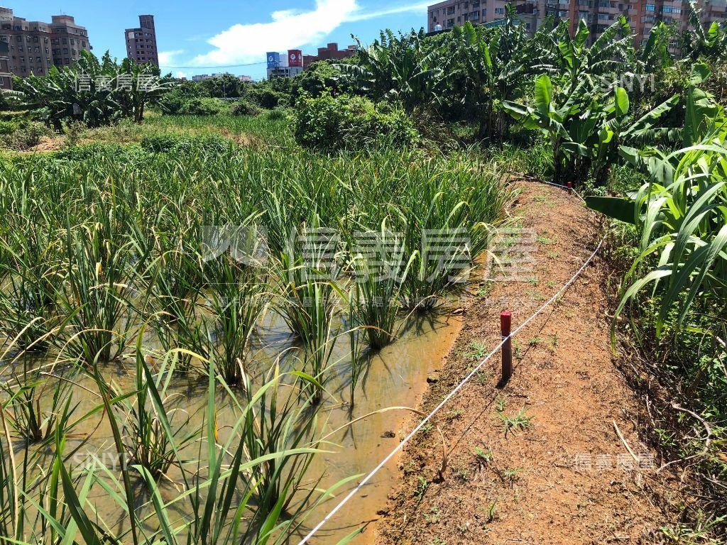 三芝市區旁千坪有路土地房屋室內格局與周邊環境