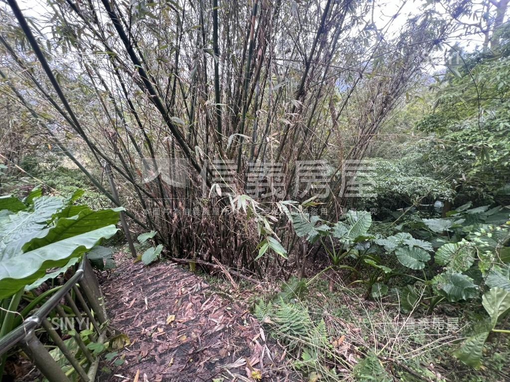 陽明山新安段土地房屋室內格局與周邊環境