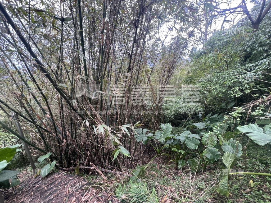 陽明山新安段土地房屋室內格局與周邊環境