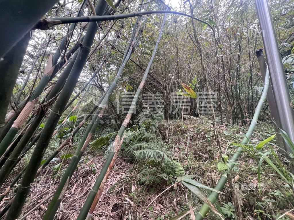 陽明山新安段土地房屋室內格局與周邊環境