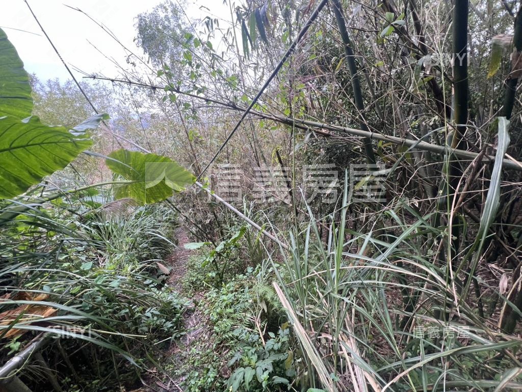 陽明山新安段土地房屋室內格局與周邊環境