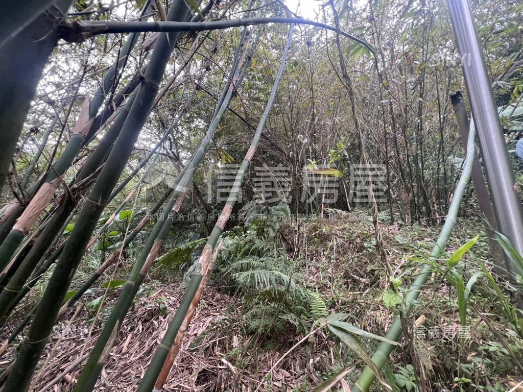 陽明山新安段土地房屋室內格局與周邊環境
