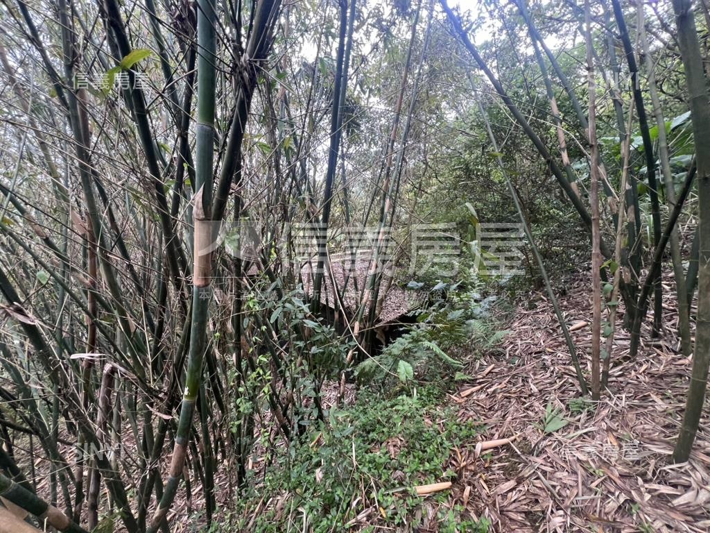 陽明山新安段土地房屋室內格局與周邊環境