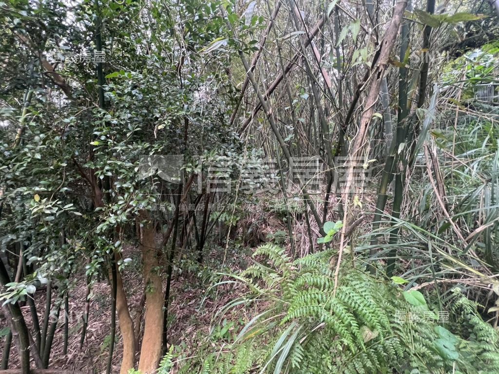 陽明山新安段土地房屋室內格局與周邊環境