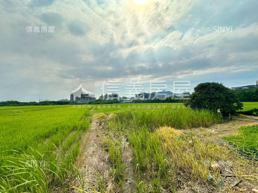 關渡豐年三小段農地房屋室內格局與周邊環境