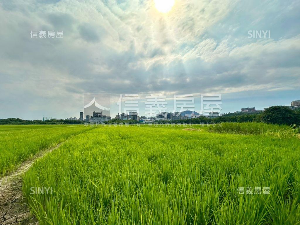 關渡豐年三小段農地房屋室內格局與周邊環境